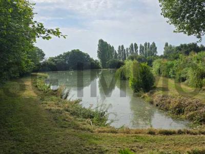 For sale Bauge BAUGA-EN-ANJOU Maine et loire (49150) photo 2
