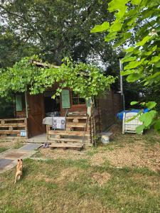 For sale Bauge BAUGA-EN-ANJOU Maine et loire (49150) photo 3
