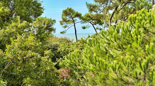 Acheter Appartement Vaux-sur-mer 159530 euros
