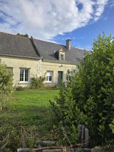 For sale Varennes-sur-loire 6 rooms 139 m2 Maine et loire (49730) photo 0
