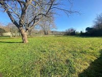 Annonce Vente Terrain Sablonnieres 77