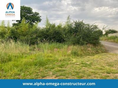 Acheter Maison Romans-sur-isere 299000 euros