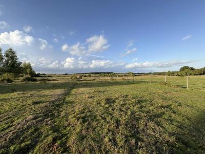 Annonce Vente Terrain Levroux 36