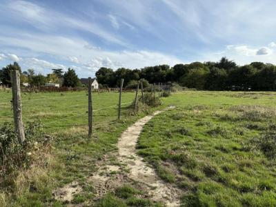 Acheter Terrain Levroux Indre