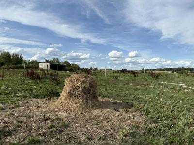Acheter Terrain Levroux 39440 euros