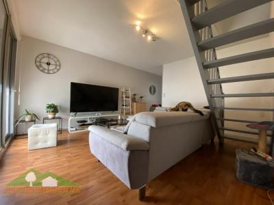 Louer Appartement Saint-gaudens Haute garonne