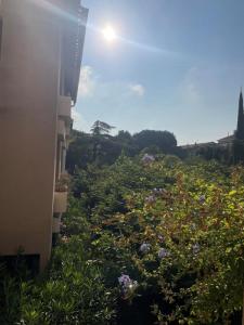 For rent Avignon 2 rooms 52 m2 Vaucluse (84000) photo 2