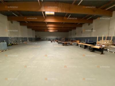 Annonce Location Commerce Capinghem 59