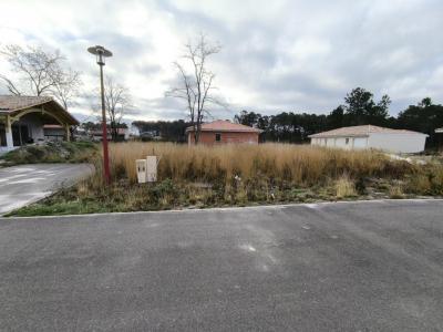 For sale Parentis-en-born 5 rooms 130 m2 Landes (40160) photo 0