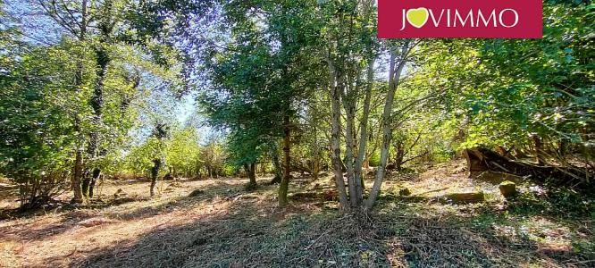 Annonce Vente Terrain Neuvic 19