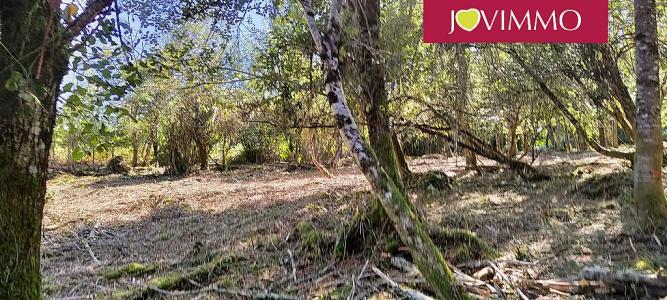 Acheter Terrain Neuvic Correze