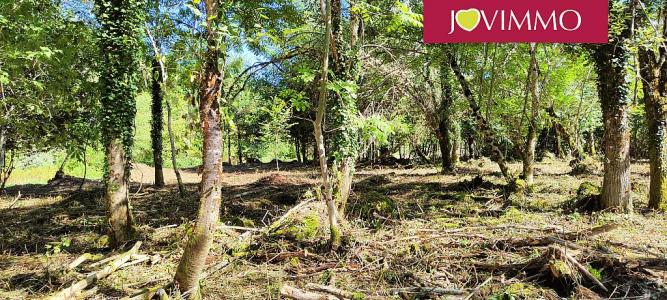Acheter Terrain Neuvic 55000 euros