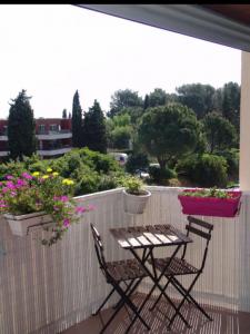 For rent Montpellier 2 rooms 40 m2 Herault (34000) photo 1