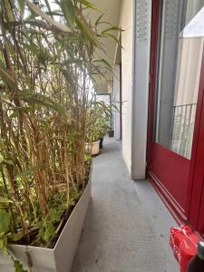 Acheter Appartement 62 m2 Saint-maur-des-fosses