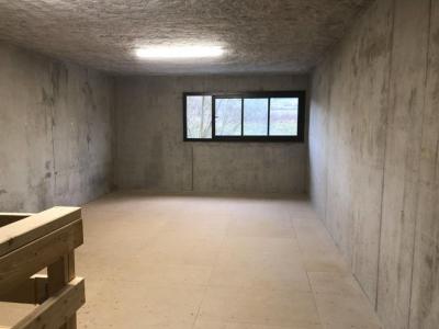 Annonce Location Commerce Allonzier-la-caille 74