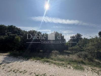 Annonce Vente Terrain Uzes 30