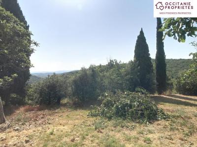 Annonce Vente Prestige Villarzel-du-razes 11