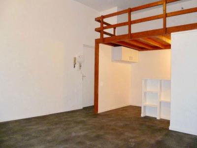 Annonce Location Appartement Lille 59