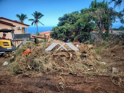 Annonce Vente Terrain Chaloupe 974