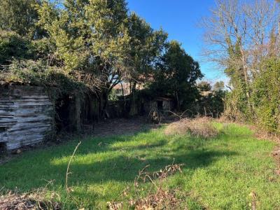 Acheter Maison Ruffec Charente