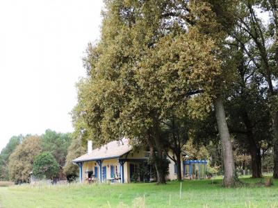 For sale Tartas 6 rooms 145 m2 Landes (40400) photo 1