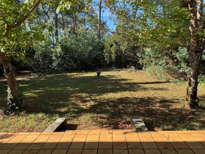 Annonce Vente 4 pices Maison Lege-cap-ferret 33
