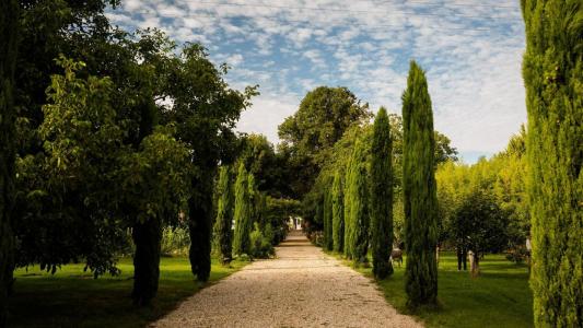 For sale Saint-emilion 14 rooms 950 m2 Gironde (33330) photo 0
