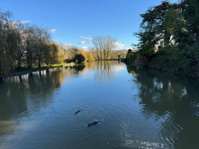 For sale Saint-emilion 14 rooms 950 m2 Gironde (33330) photo 3
