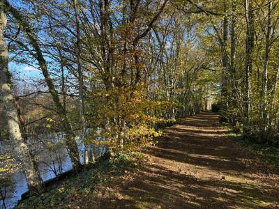 For sale Saint-emilion 14 rooms 950 m2 Gironde (33330) photo 4