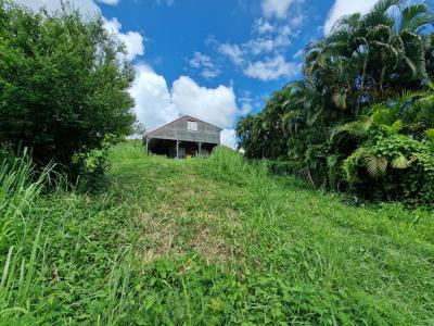 For sale Vauclin 1215 m2 Martinique (97280) photo 1