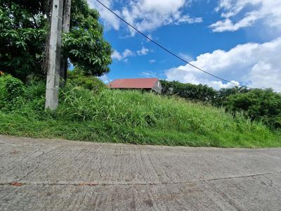 For sale Vauclin 1215 m2 Martinique (97280) photo 2