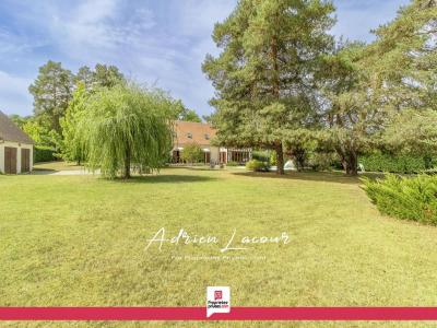 Acheter Maison 242 m2 Pruniers-en-sologne