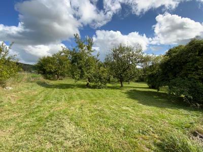 For sale Bulgneville 8 rooms 237 m2 Vosges (88140) photo 1