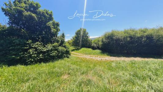 Acheter Terrain Epine 40000 euros
