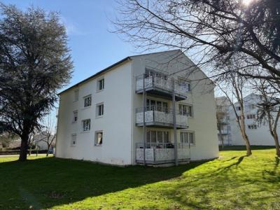 Annonce Location Appartement Chatre 36