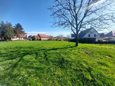 For sale Gries 261 m2 Bas rhin (67240) photo 0