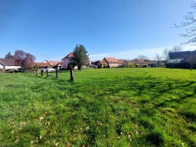 For sale Gries 261 m2 Bas rhin (67240) photo 4