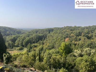 Annonce Vente 3 pices Maison Labecede-lauragais 11