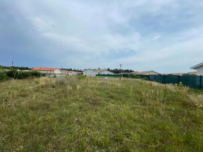 Annonce Vente 4 pices Maison Parentis-en-born 40