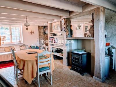 Acheter Maison 340 m2 Massac