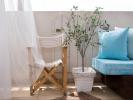 Vente Appartement Monteux  24 m2