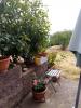 Location Appartement Furiani  2 pieces 50 m2