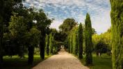 For sale Prestigious house Saint-emilion  950 m2 14 pieces