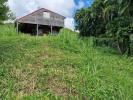 Vente Terrain Vauclin  1215 m2