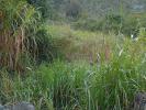Vente Terrain Cilaos 