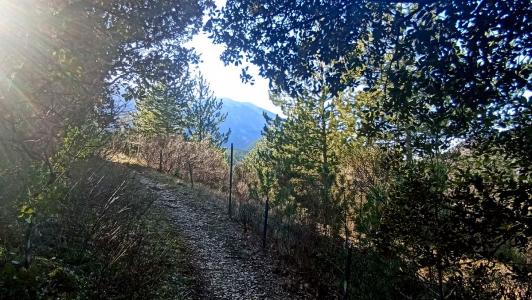 Annonce Vente Terrain Savoillan 84