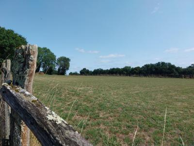 Acheter Maison Tesse-froulay 420000 euros