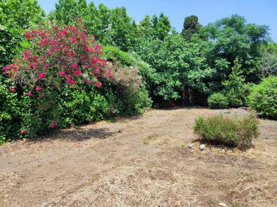 For sale Frontignan 8 rooms 185 m2 Herault (34110) photo 2