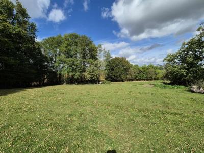 For sale Simard 3 rooms 90 m2 Saone et loire (71330) photo 2
