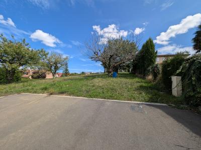 Annonce Vente Terrain Genay 69